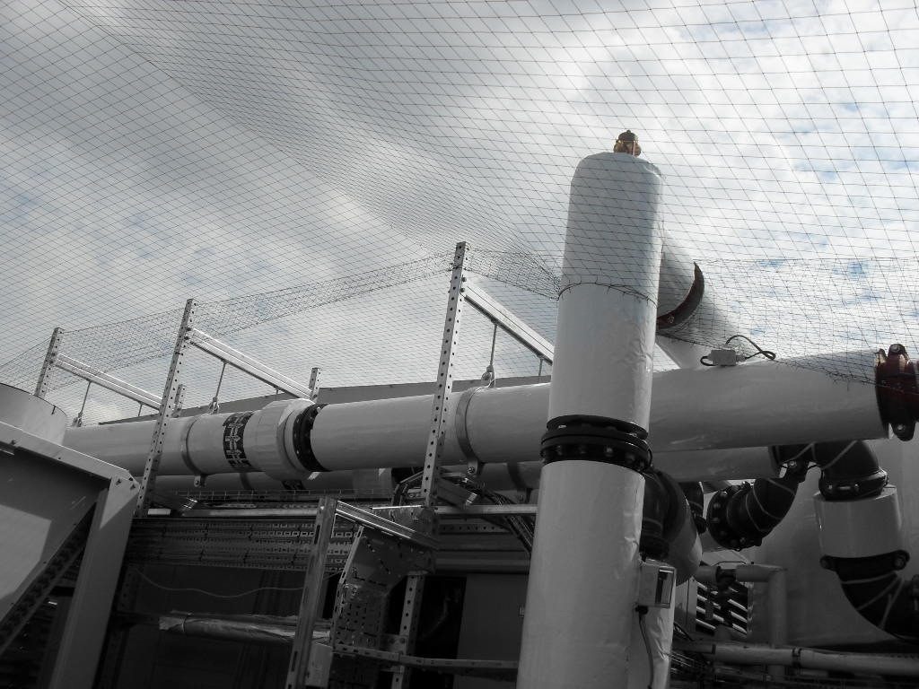 Bird Control in Wigan, Greater Manchester